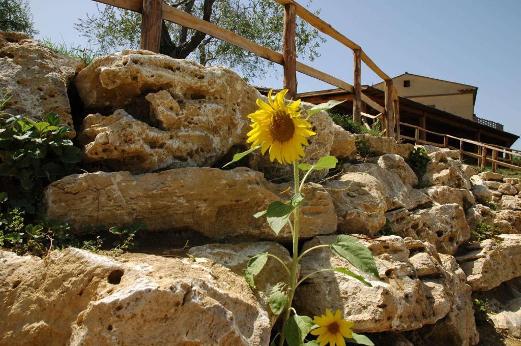 منزل الضيف أورتيه  في Agriturismo Campo Antico المظهر الخارجي الصورة